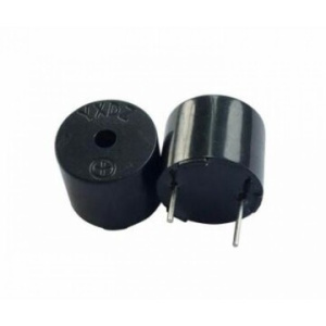 buzzer-12095-0-800x800 buzzer-12095-0-800x800