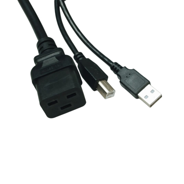 UPS-220/3000VA Источник бесперебойного питания (UPS) ACCORDTEC, 220 В