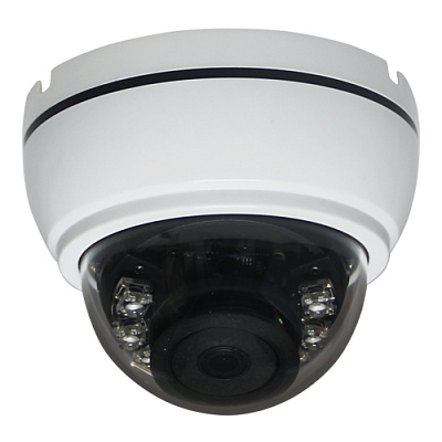 AltCam DDV21IR