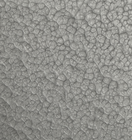 ML-400K, Электромагнитные замки ACCORDTEC, 400 кг, накладной под покраску