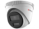 DS-I453L(C)(2.8mm)
