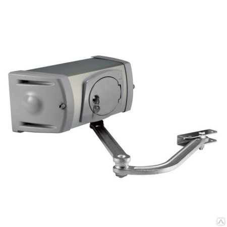 FERNI 40230